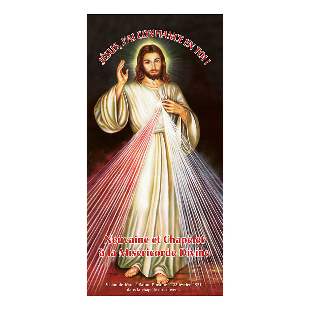 Divine Mercy Novena Together With Rosary - Image 2