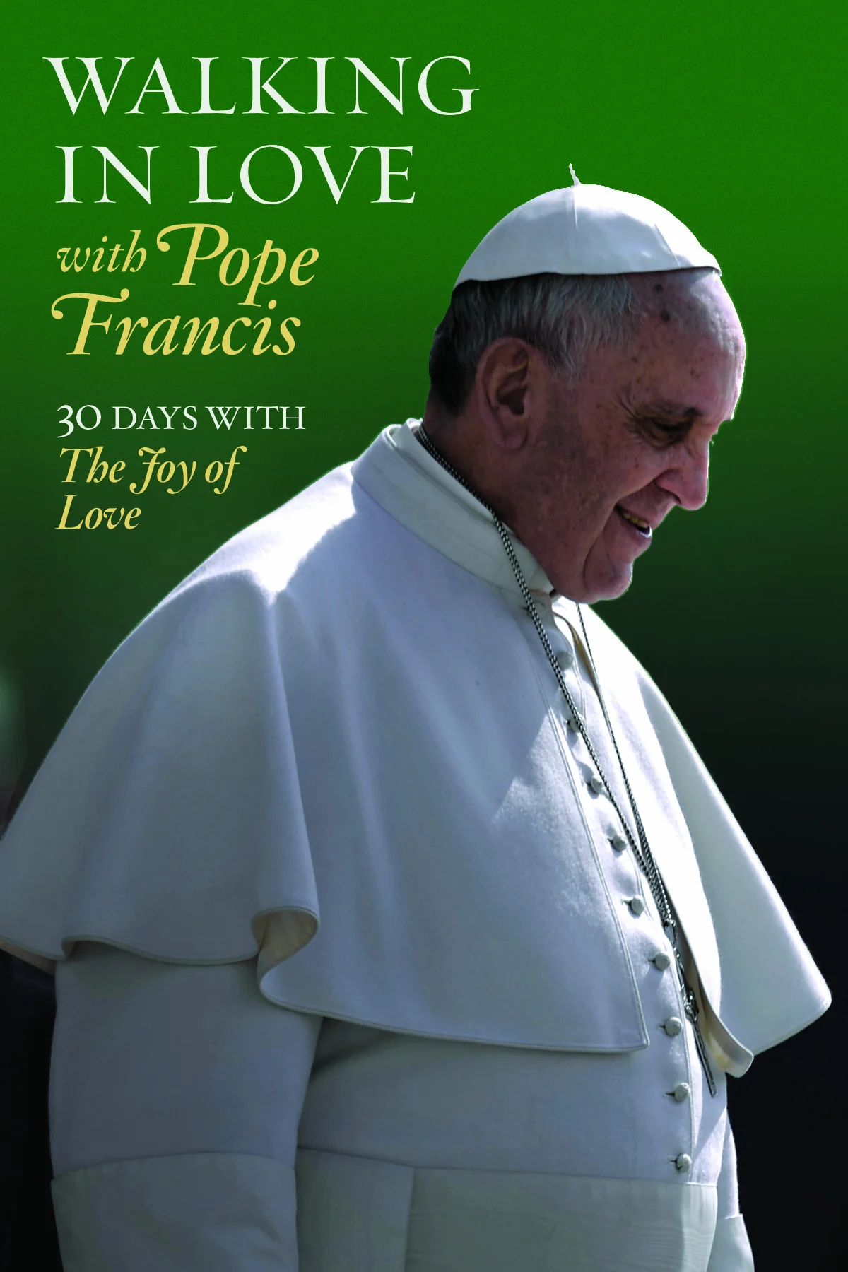 Pope Francis Booklets Set of 10 - Image 3