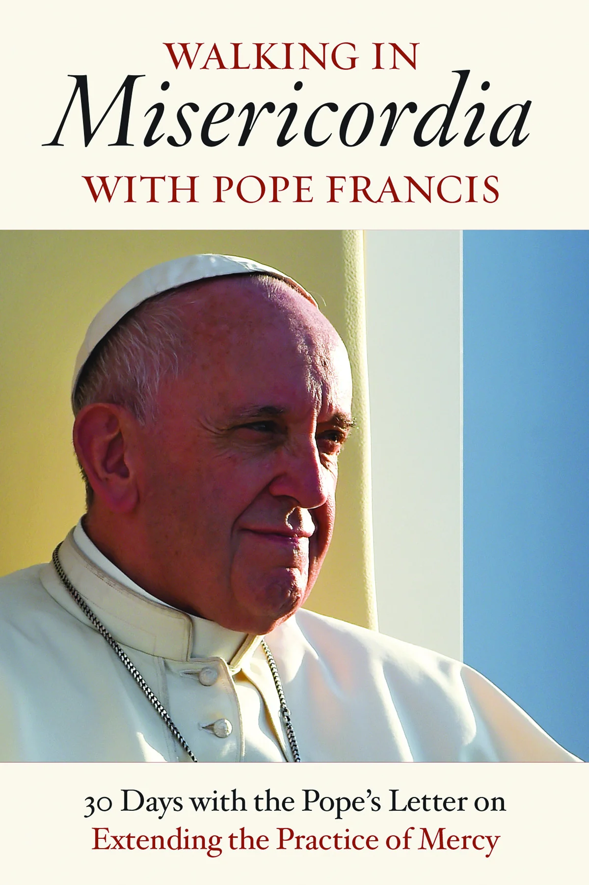 Pope Francis Booklets Set of 10 - Image 8