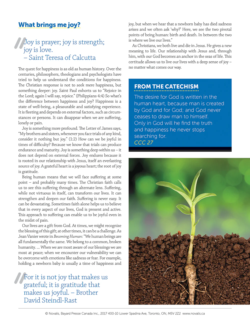 What Catholics Believe | Leaflet 11 - Christian Life: Nurturing Faith - Image 4