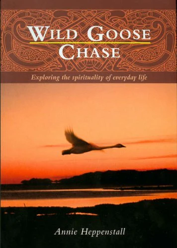 Wild Goose Chase: Exploring the Spirituality of Everyday Life